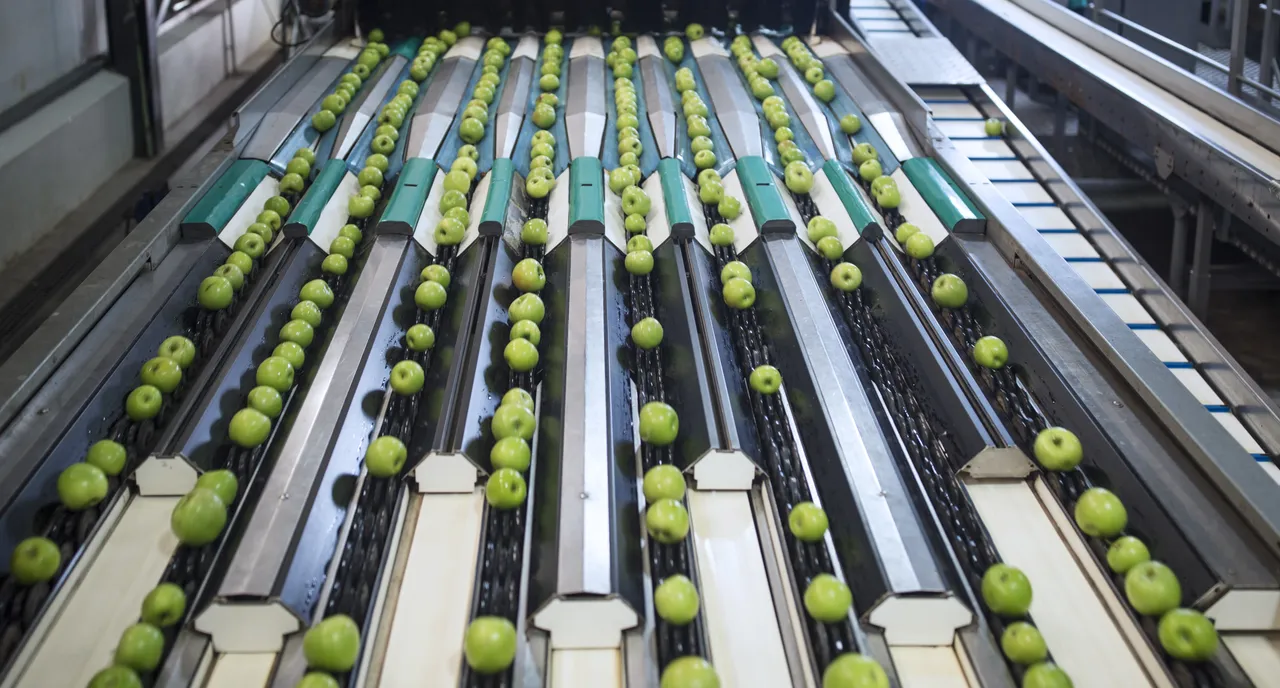 South Africa's products quality regulation agency faces 'imminent collapse'